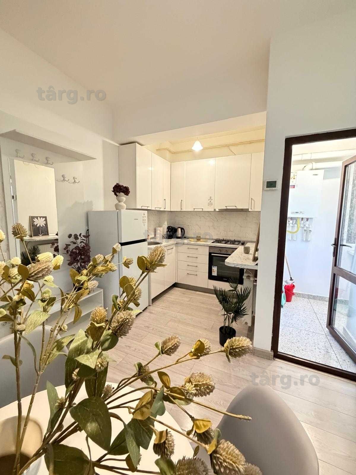 IS Cazare Apartamente Regim Hotelier Central 1-2-3 cam Palas-Newton 3
