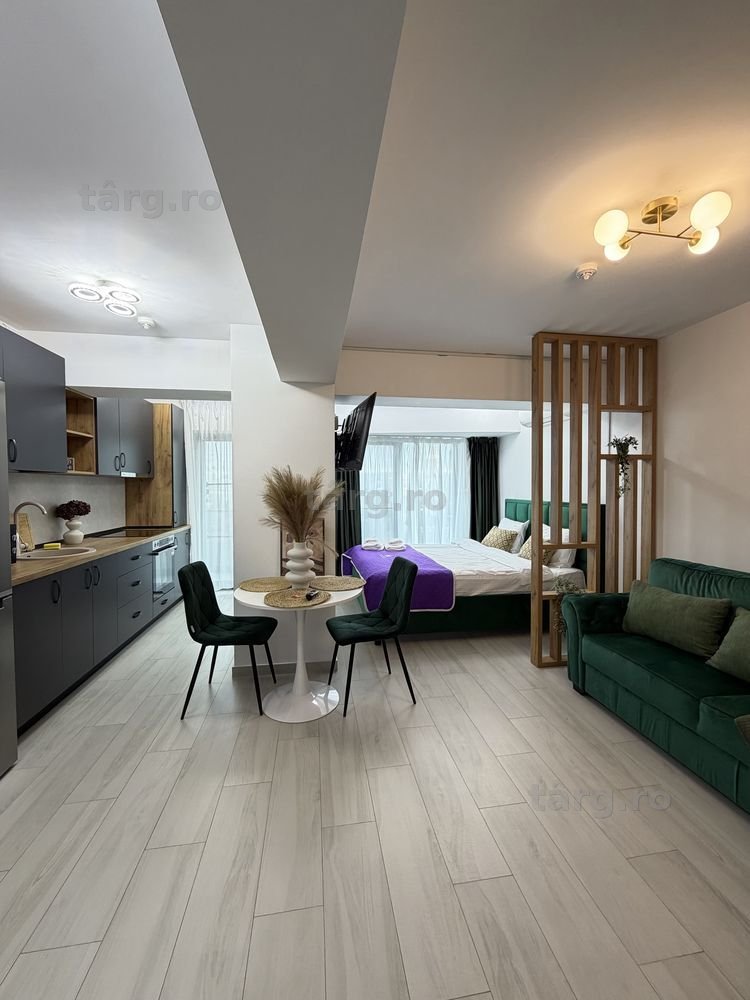 IS Cazare Apartamente Regim Hotelier Iasi Zona Palas-Centru-Newton 4
