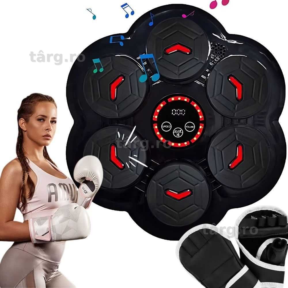 Set tinta lovituri box si manusi 9 nivele viteza muzica Bluetooth