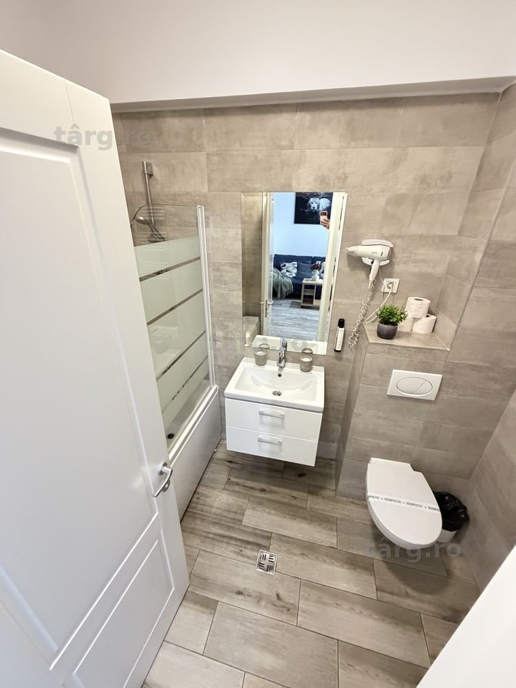 IS Accommodation Apartments Regim Hotelier Ap 1-2-3 Cam Palas-Centru 8