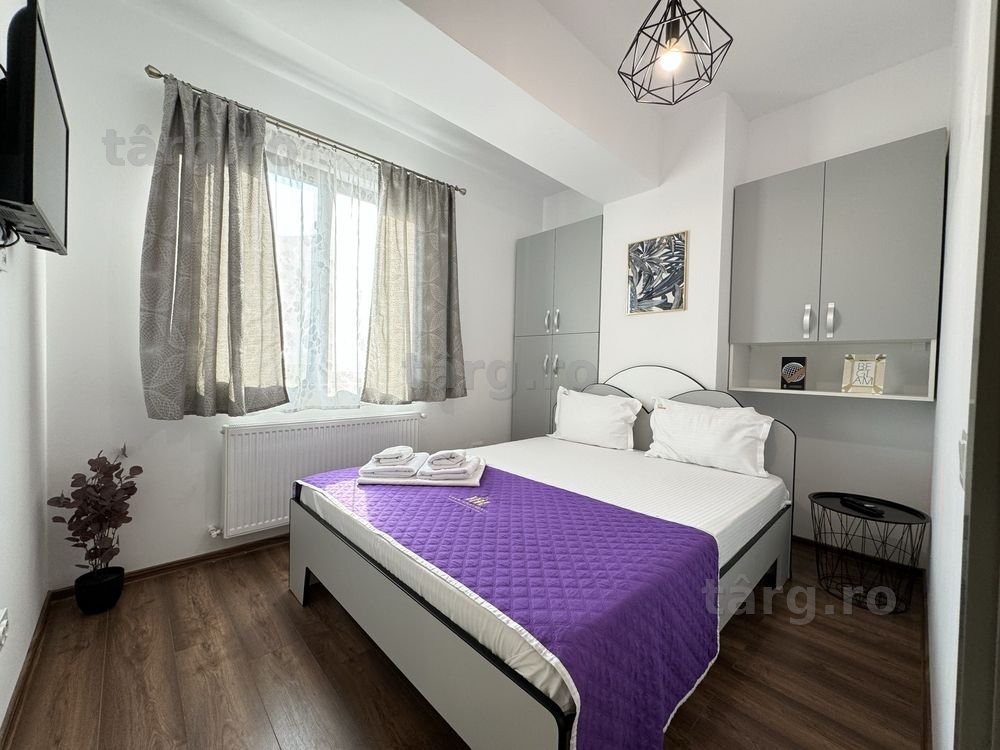 IS Cazare Apartamente Regim Hotelier Lazar Palas - Centru - Newton 7