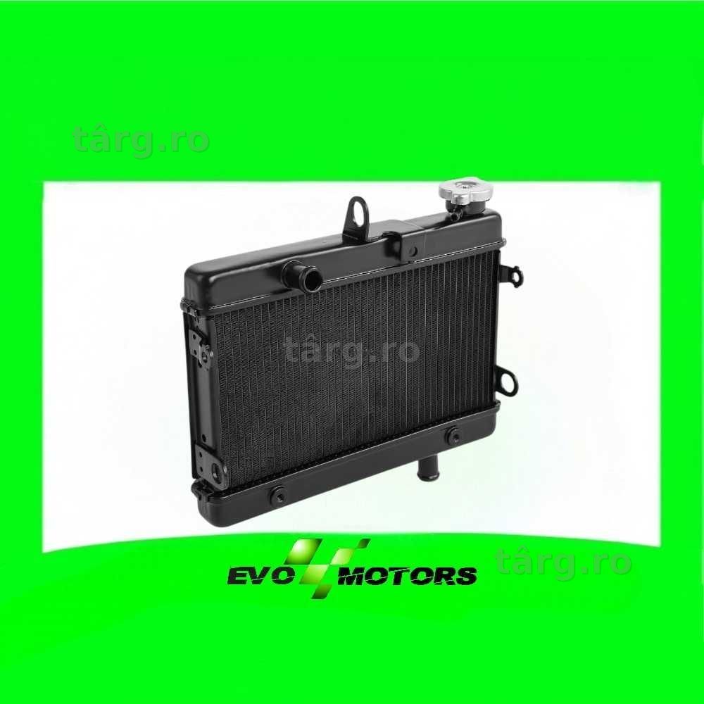 Radiator Honda Rebel 300 CMX300 2017 2023 A1720