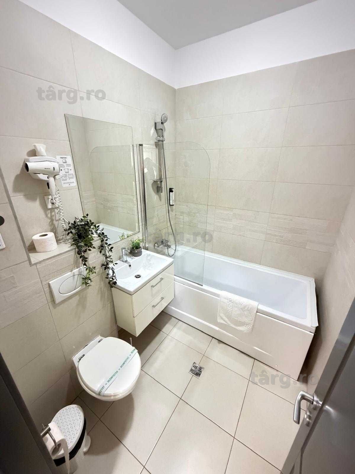IS Cazare Regim Hotelier Iasi Apartamente Centru Palas Newton 6