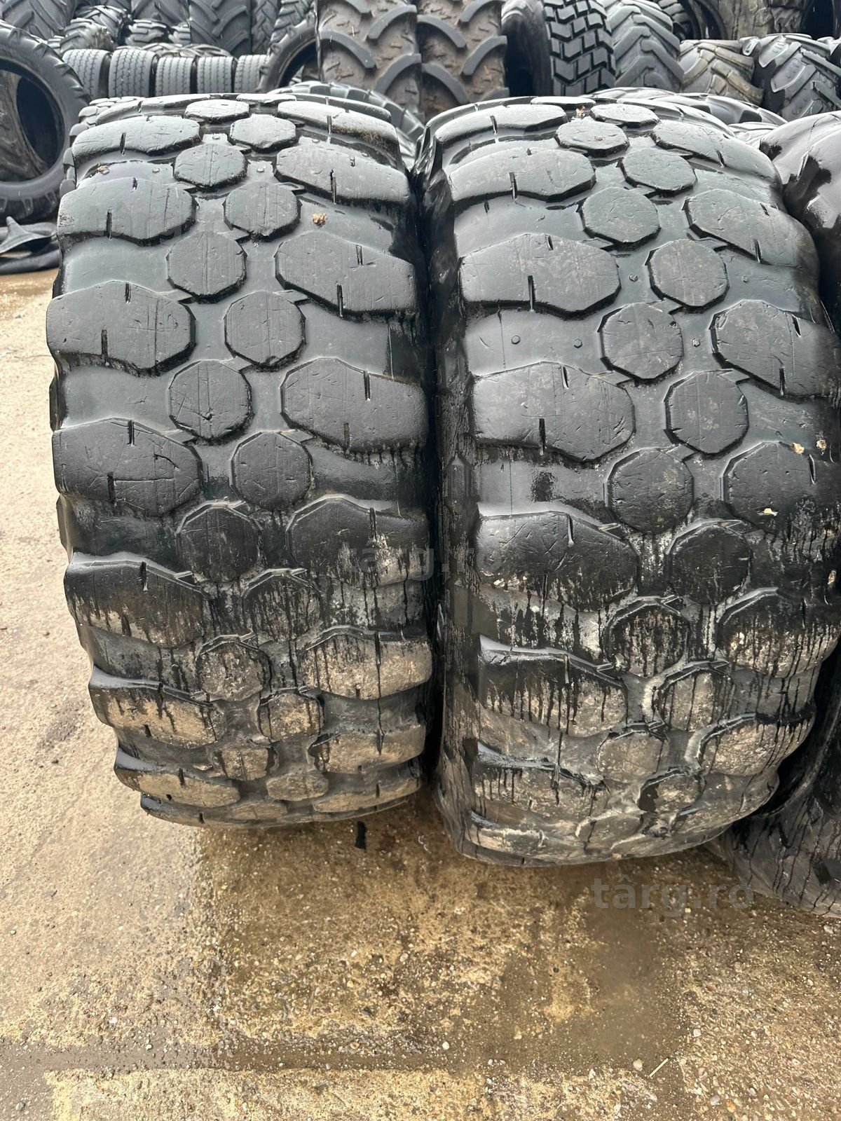 Anvelope sh 17.5 R24 2