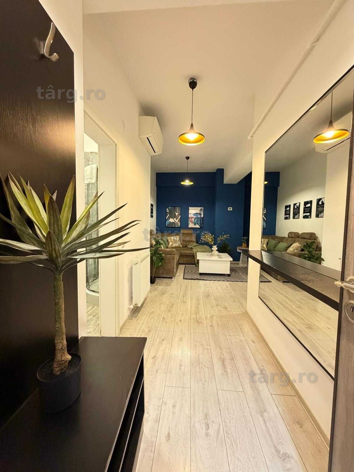 IS LUX Palas - Newton ! Cazare Regim Hotelier Iasi Apart Noi 1-2-3 cam 2