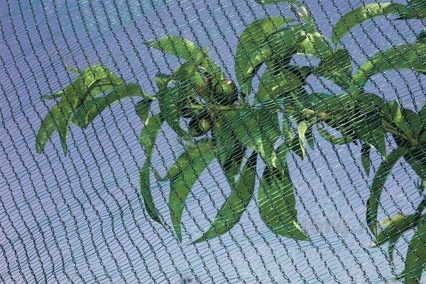 Plasa Protectie Antigrindina 6x10ml=200lei; 4x10ml=125lei; 3x10ml=100