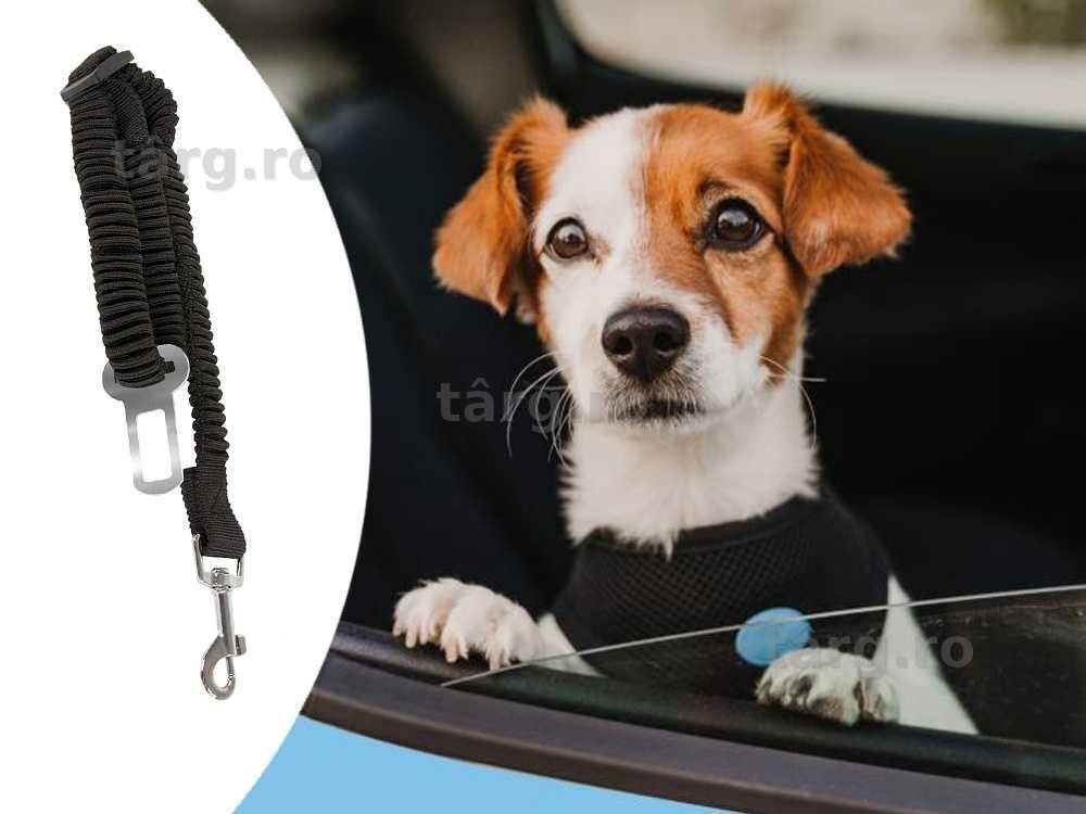 Centura de siguranta caini auto lesa elastica reglabila negru 50-125cm