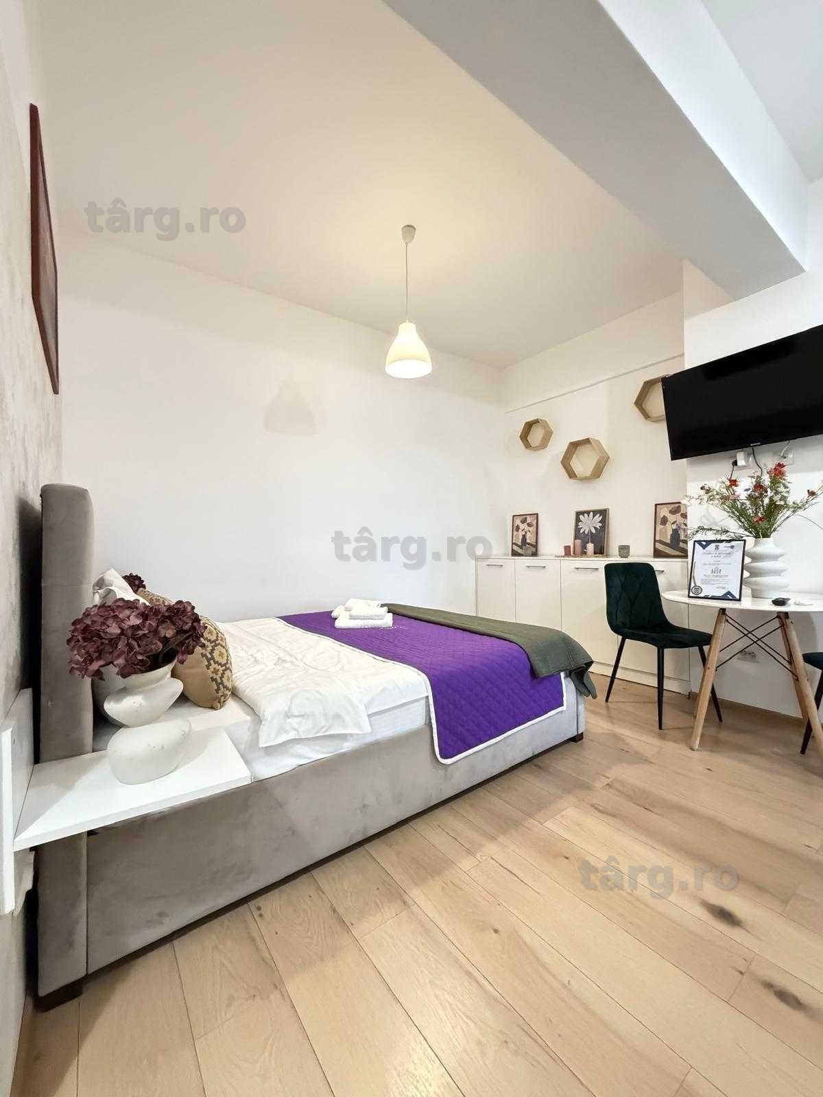 IS Cazare Regim Hotelier Ap 1-2-3 Cam Centru-Palas-Newton Blocuri Noi 2
