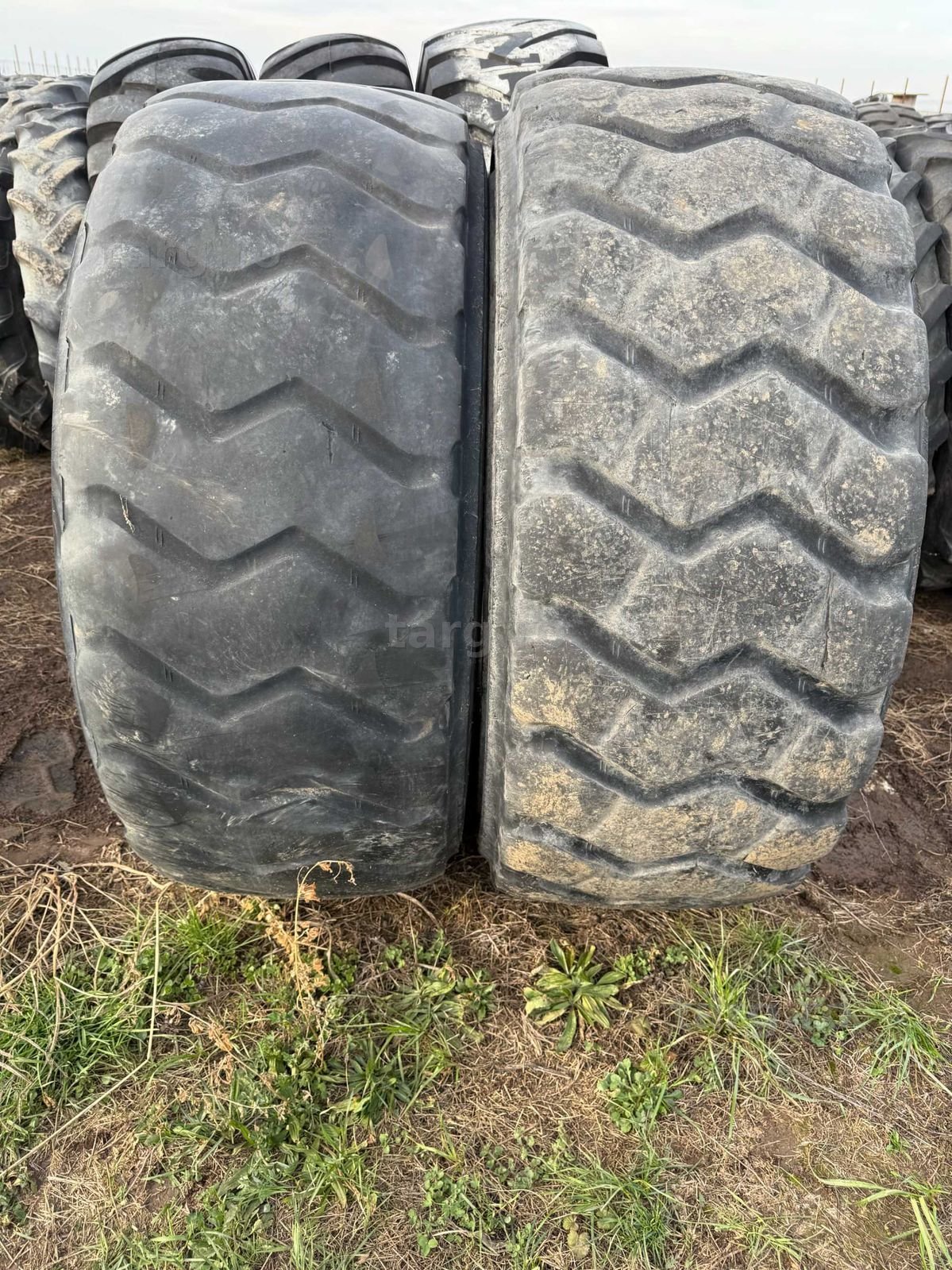 Anvelope sh 20.5 R25