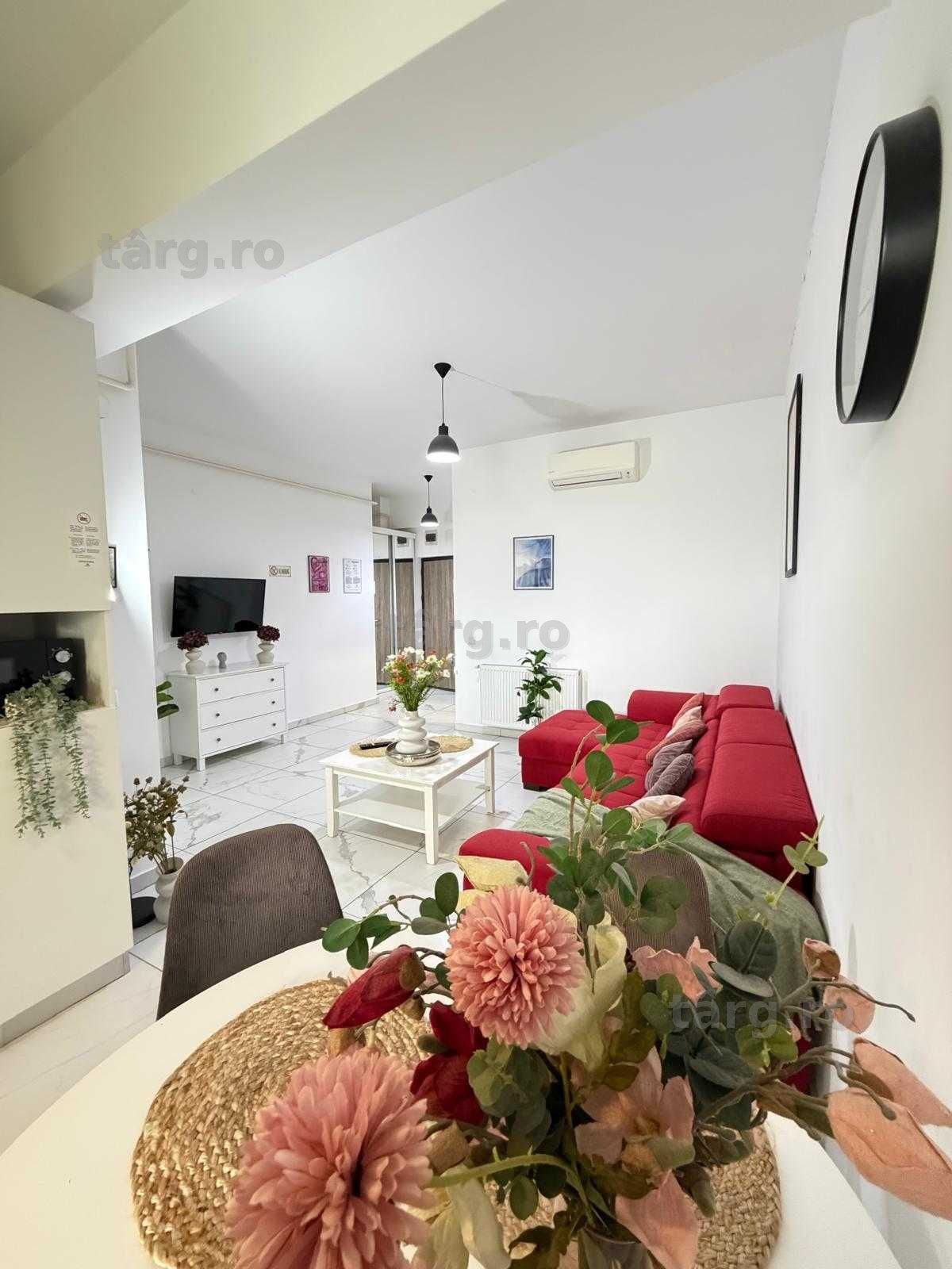 Cazare Apartamente Regim Hotelier Iasi 1-2-3 Cam Palas Aeroport Centru 3