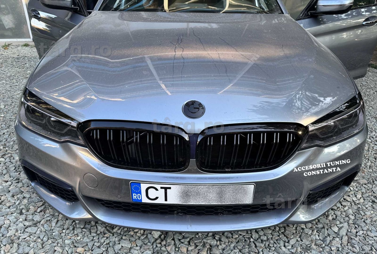 Grile - Nari Duble BMW Seria 5 G30 G31 2017 - 2020