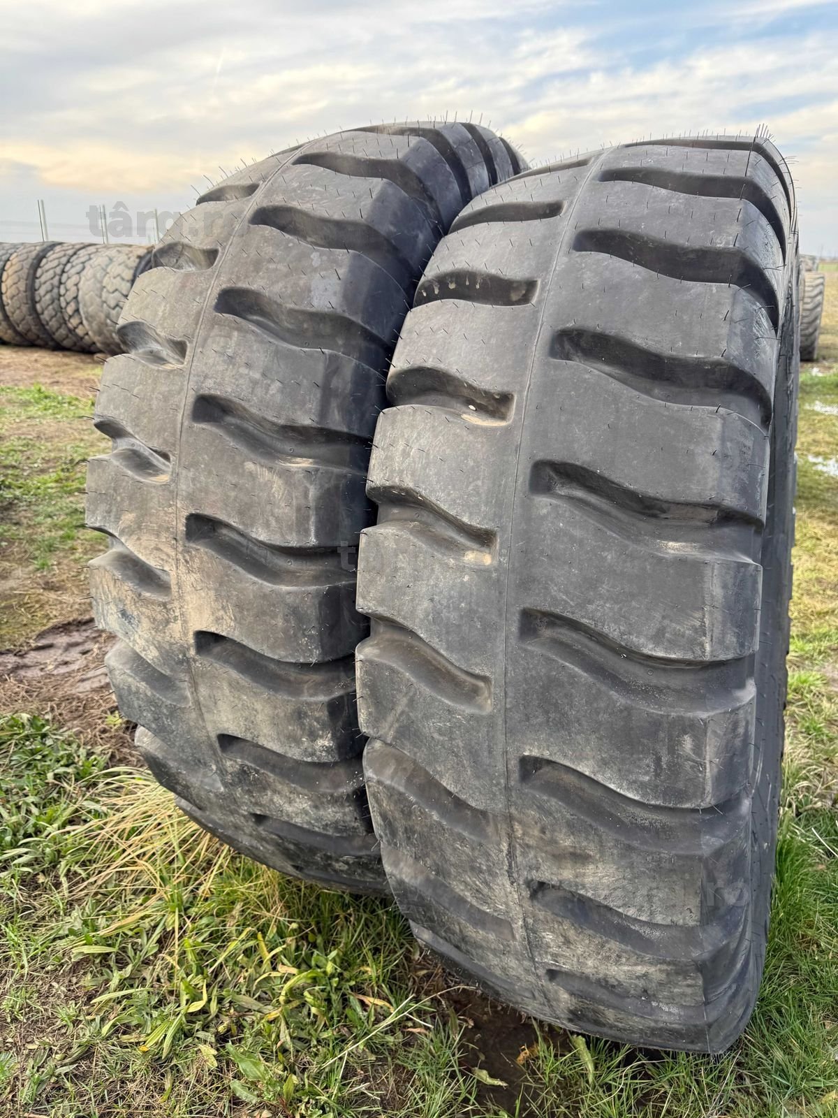 Anvelope sh 1800 R25
