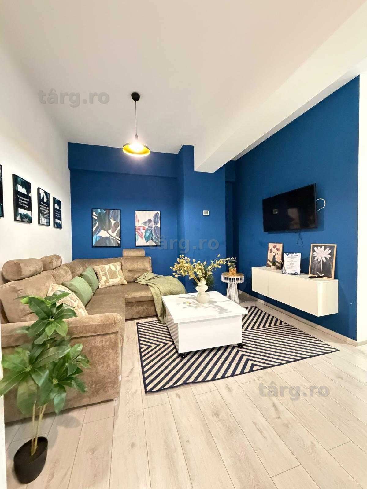 IS LUX Palas - Newton ! Cazare Regim Hotelier Iasi Apart Noi 1-2-3 cam 3
