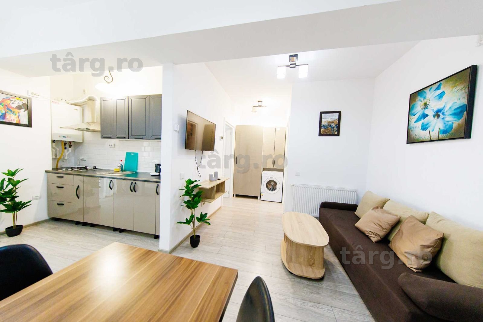 IS Cazare in Apartamente 1-2-3 Cam Regim Hotelier Palas-Newton-Centru 2