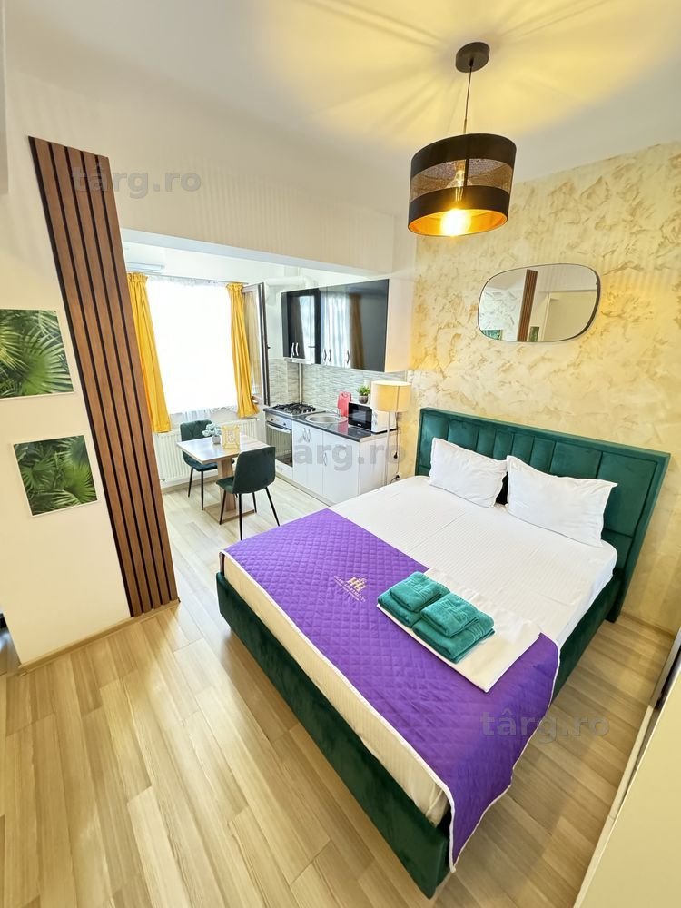 IS Glam Apartments - Cazare Regim Hotelier Aeroport - Palas - Copou 2