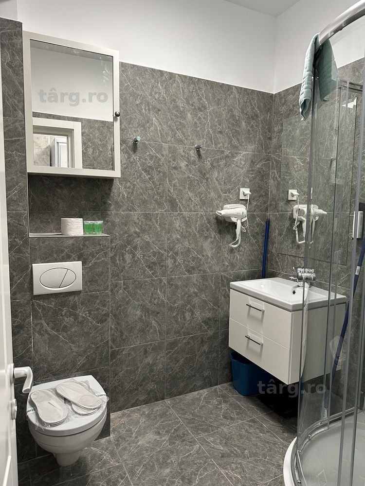 IS Cazare Apartamente Regim Hotelier Iasi Centru-Palas-Newton 7