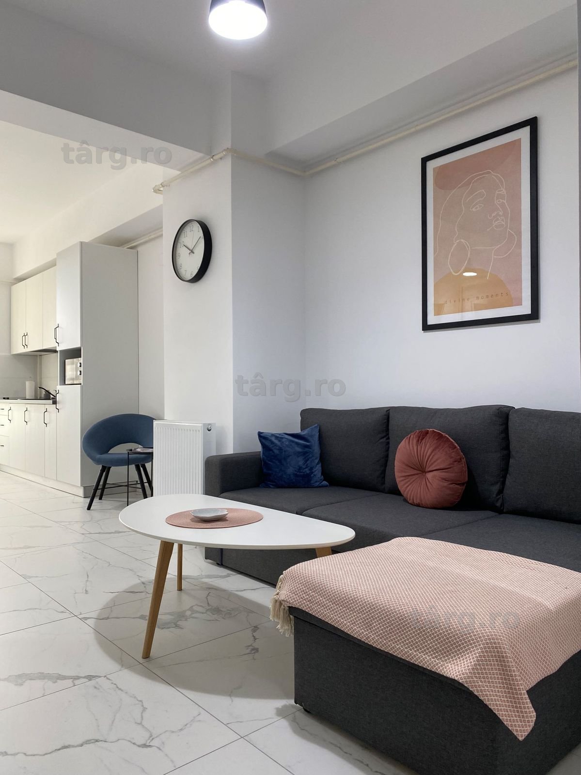 TM Regim Hotelier Apartamente Noi 2-3 Cam Circumvalațiunii / P privata 3