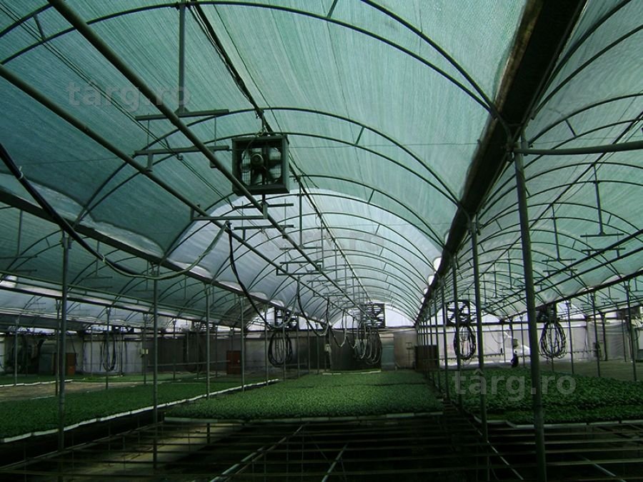 Plasa Umbrire Plante: Solarii/Sere și Gradini  2x50m= 210 lei,Tratata UV