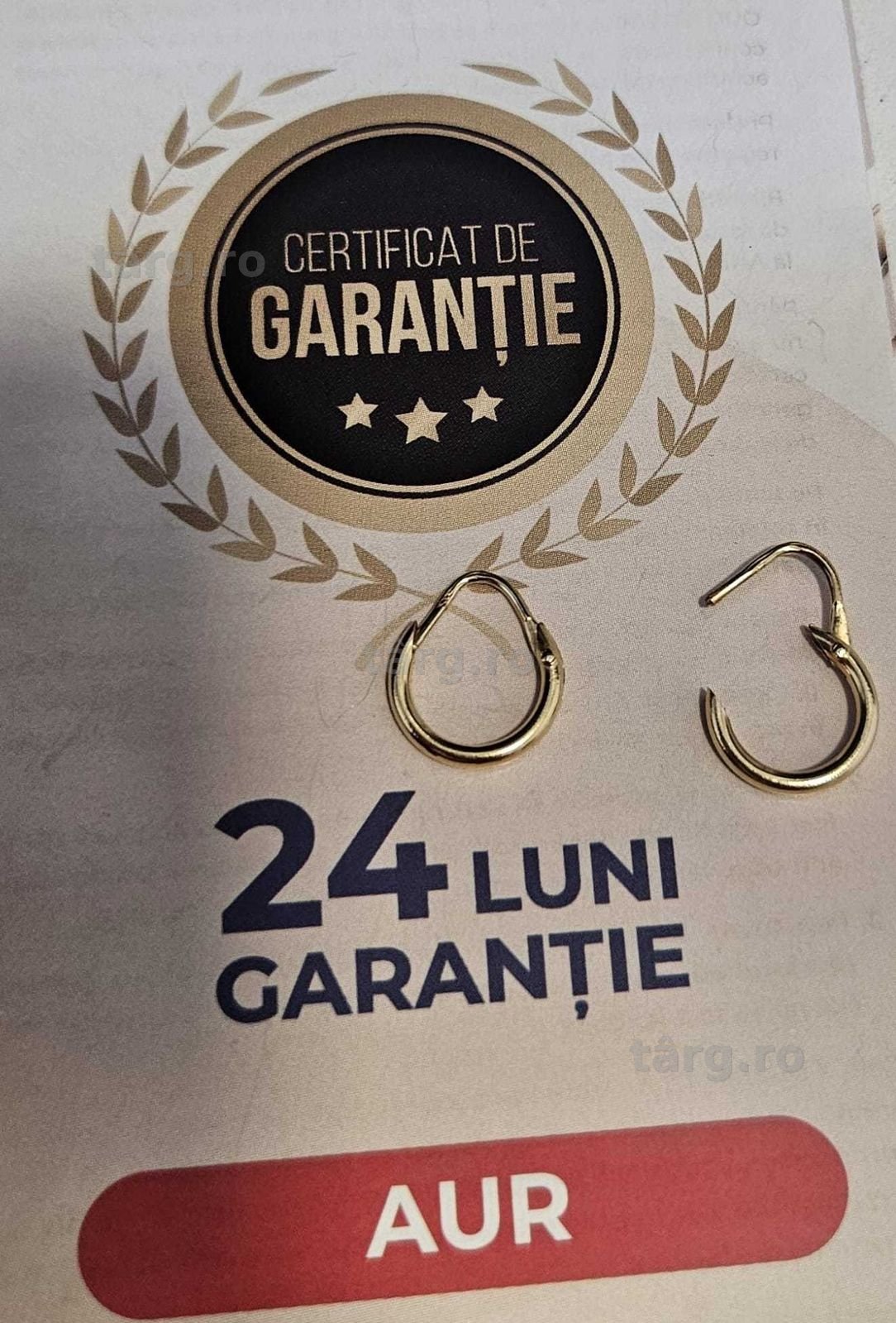 Cercei din aur (AG32 B28795.1) 2 ANI GARANTIE!