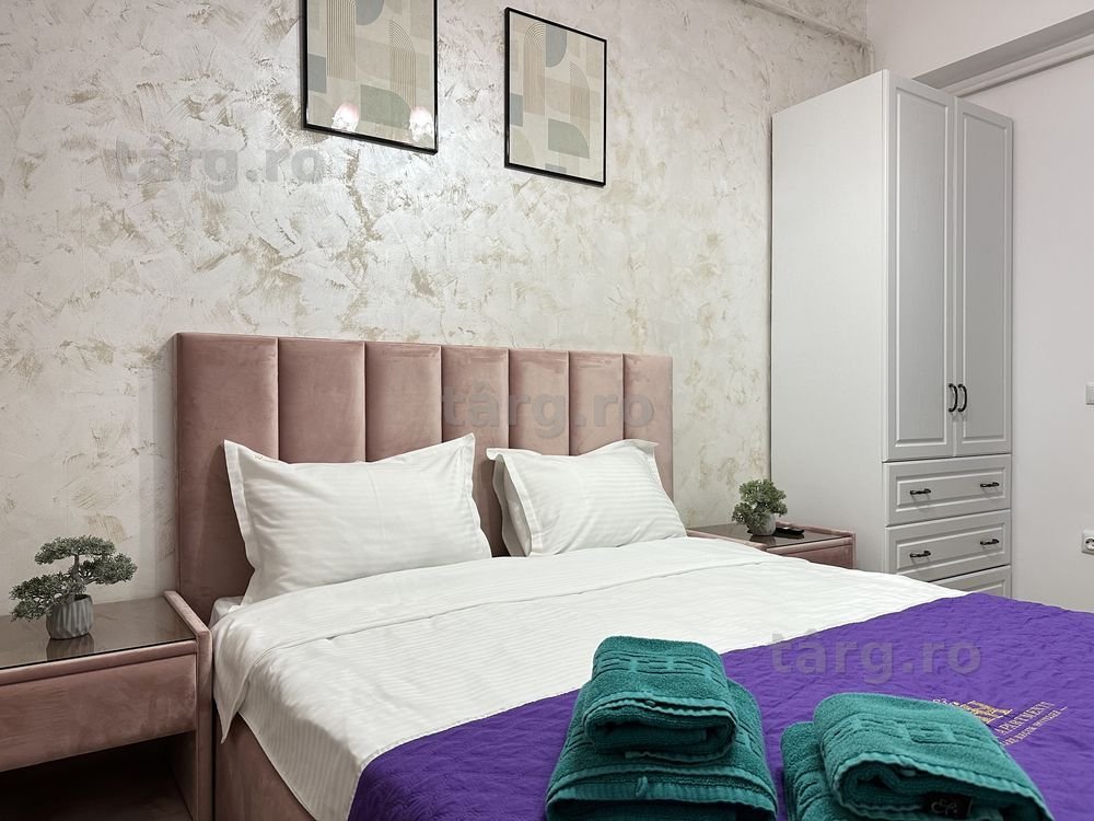 IS Cazare Regim Hotelier Iasi Centru - Palas Mall - Newton Ap 1-2-3 C 8