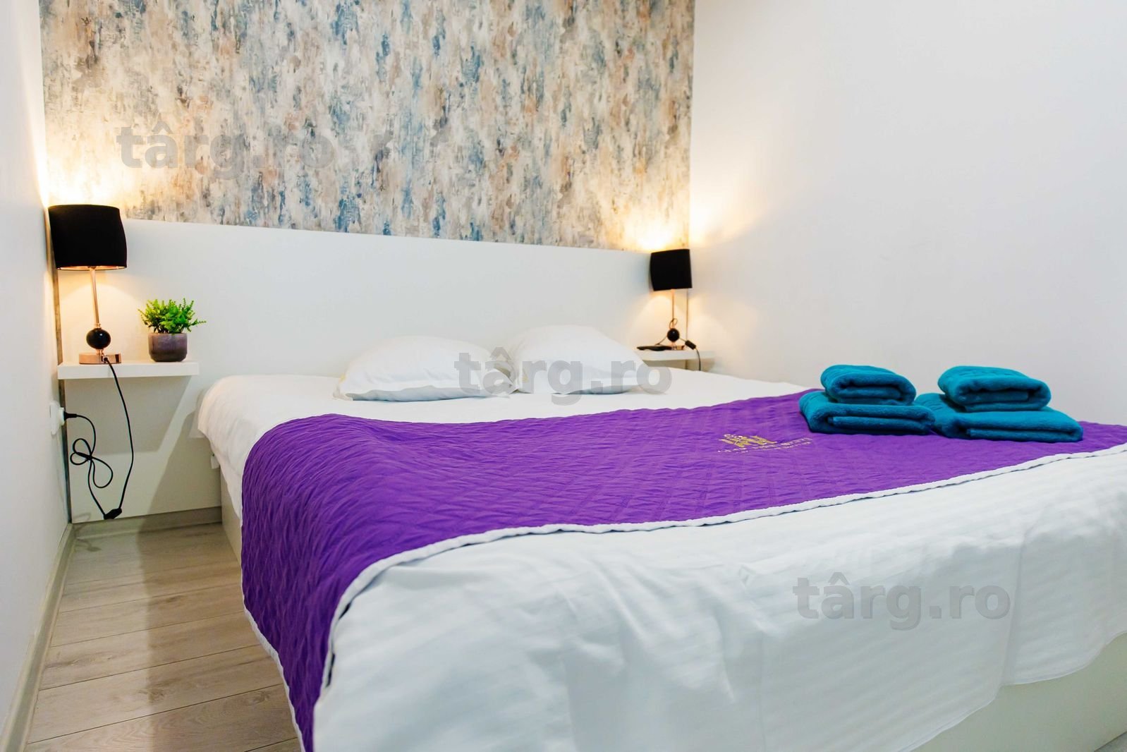 IS Cazare Apartamente Regim Hotelier Centru Palas Newton Ap 1-2-3 Cam 7
