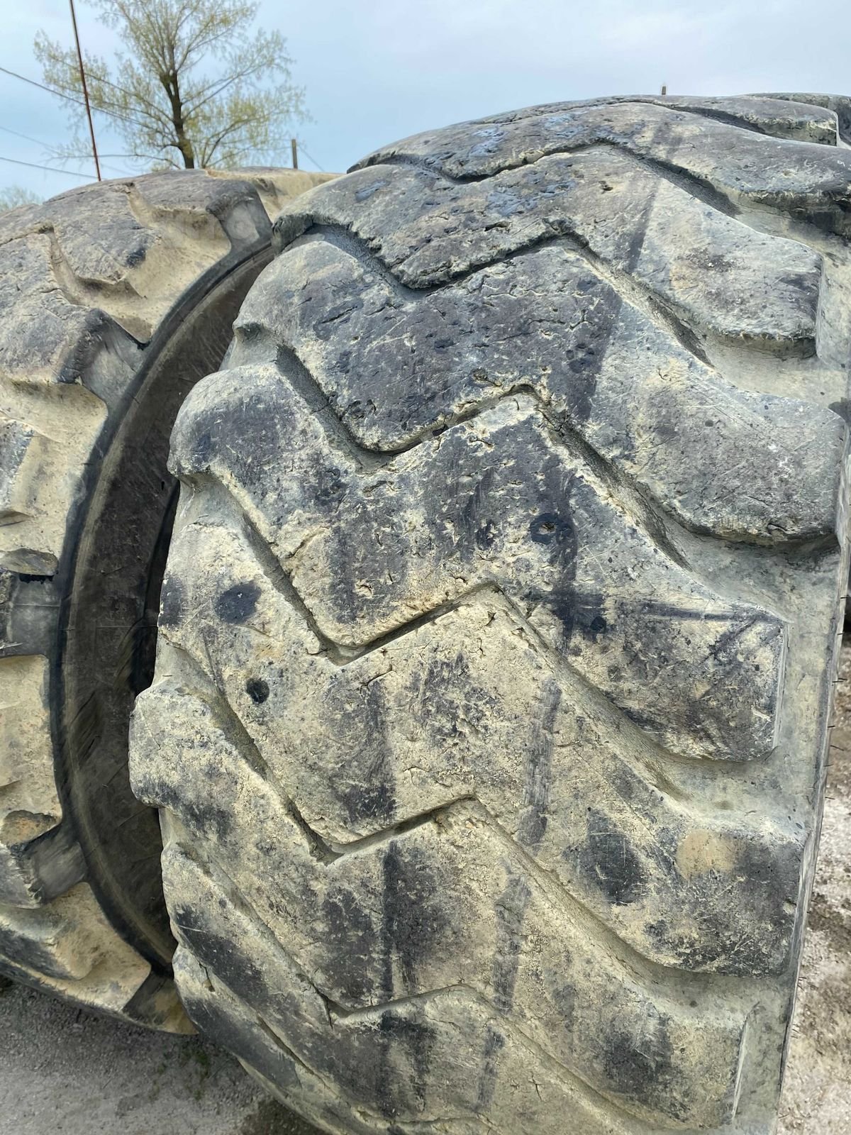 Anvelope 29.5 R25 Michelin 6