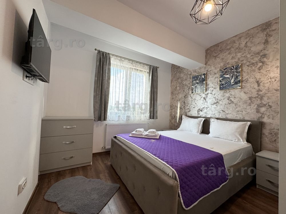 IS Cazare Apartamente Regim Hotelier Lazar Palas - Centru - Newton 6