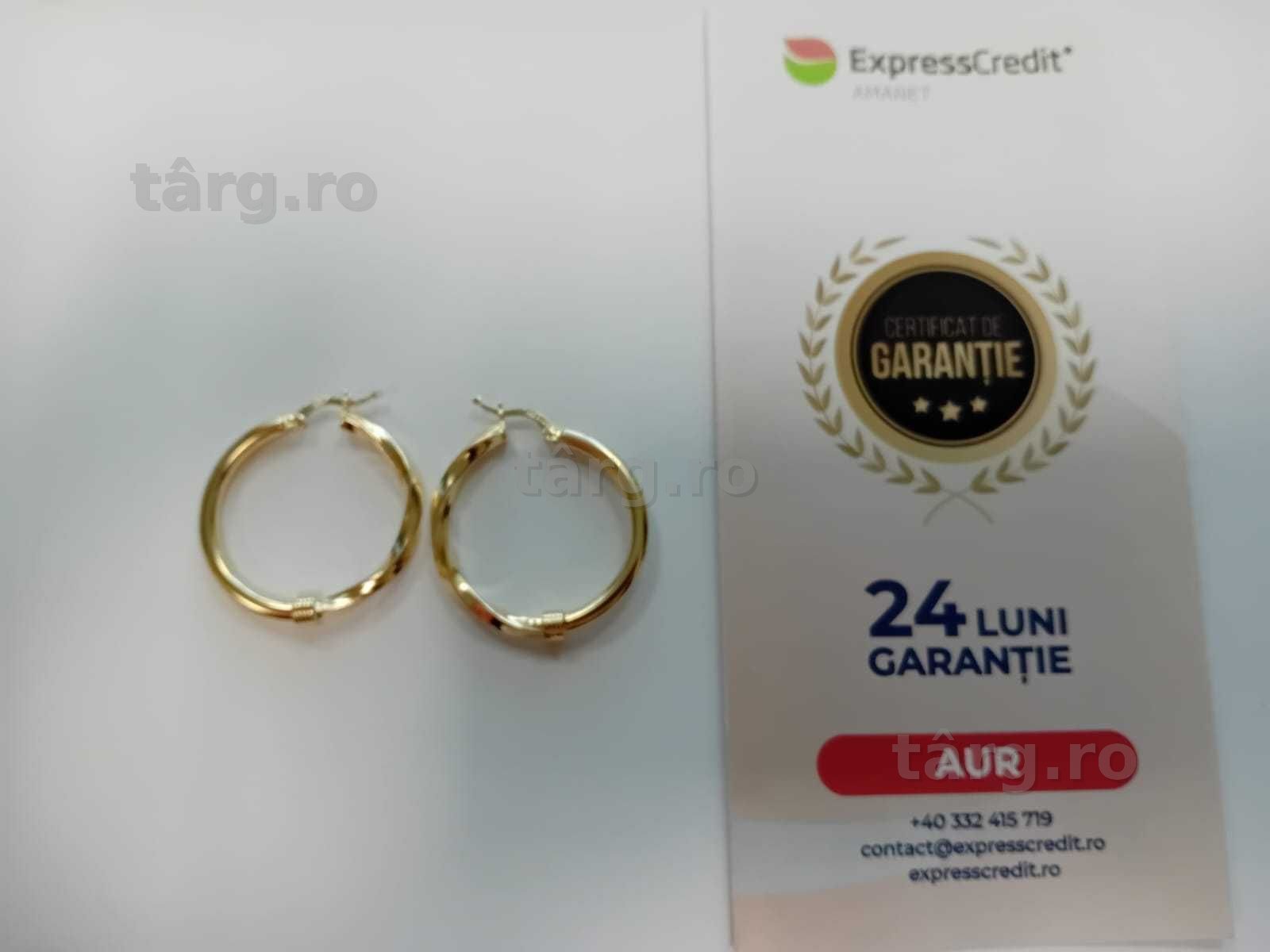 (AG33) Cercei Aur 14K / Garantie 2 Ani.