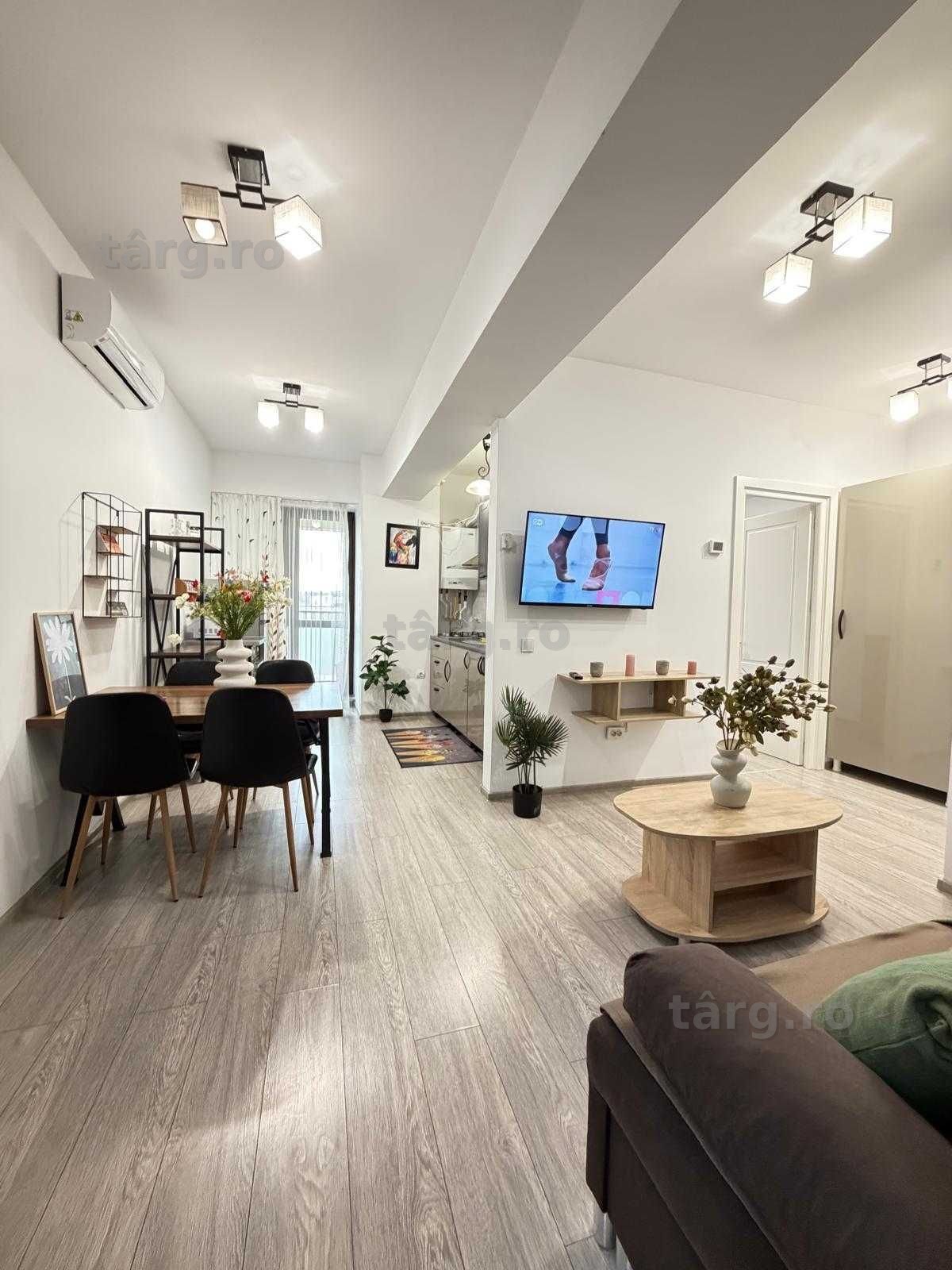 IS Cazare Apartamente 1-2-3 Cam Regim Hotelier Centru-Palas-Newton 2