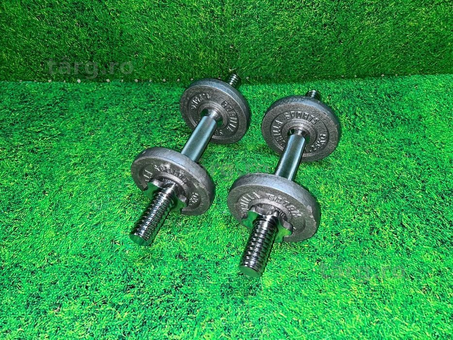Set gantere cu discuri din fier 10kg 30/31mm