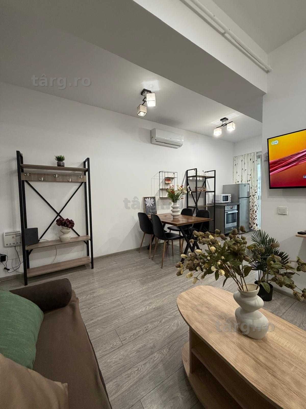 IS Cazare Apartamente 1-2-3 Cam Regim Hotelier Centru-Palas-Newton 7