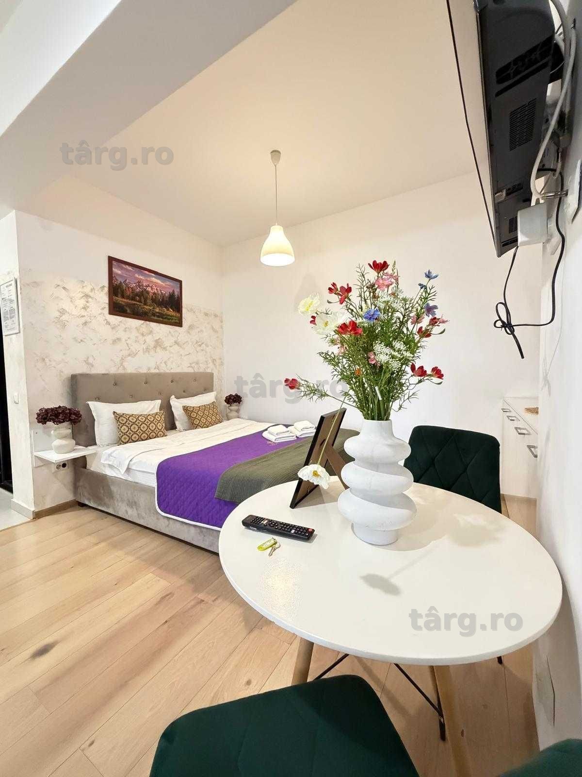 IS Cazare Regim Hotelier Ap 1-2-3 Cam Centru-Palas-Newton Blocuri Noi 4