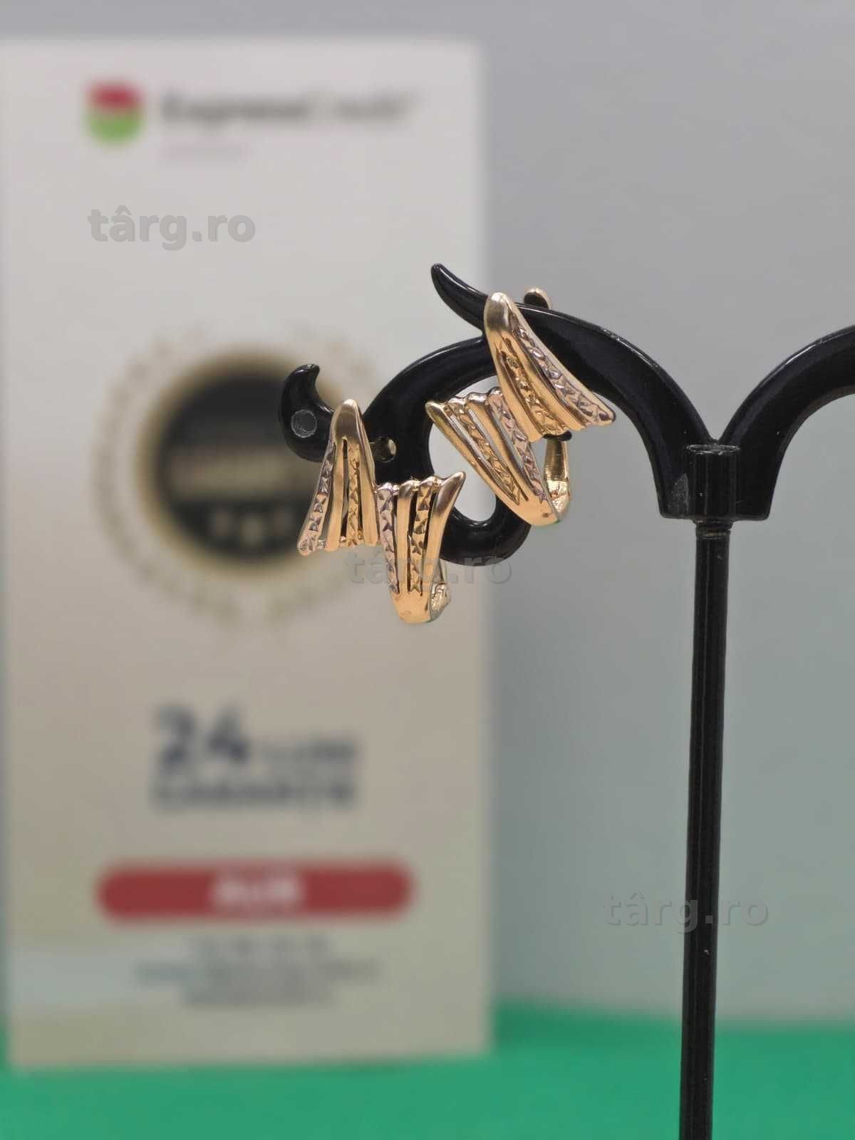 Cercei aur 14K 3.66g [Ag45 Bacau1 B.34879.1.35]