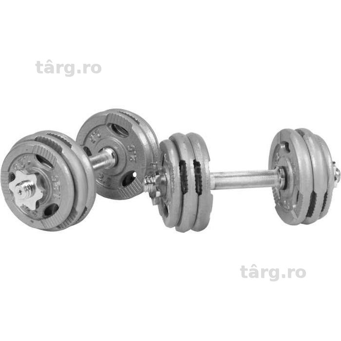 Set de gantere cu grip din fontă 30 kg Argintiu