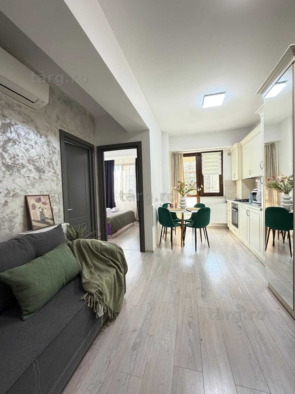 IS Cazare Regim Hotelier Iasi Apartamente Centru Palas Newton 3
