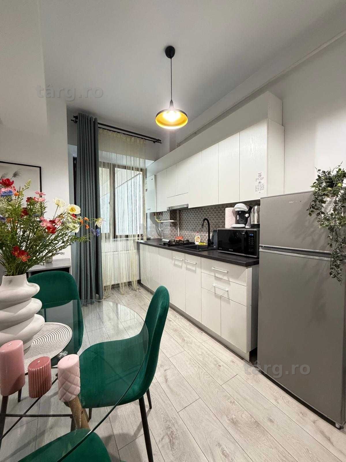 IS Cazare Regim Hotelier Iasi Apartamente Noi 1-2-3 Cam Palas Newton 4