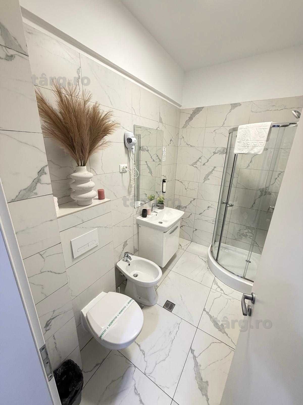 Cazare Apartamente Regim Hotelier Iasi 1-2-3 Cam Palas Aeroport Centru 8