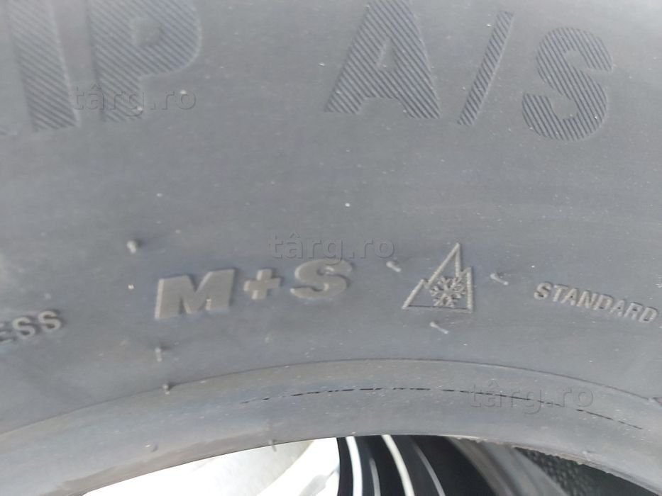 235/65 R17, 108v xl, GRIPMAX A/S, Anvelope mixte M+S 4
