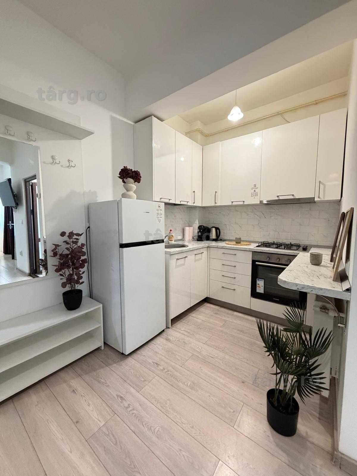 IS Cazare Apartamente Regim Hotelier Central 1-2-3 cam Palas-Newton 4