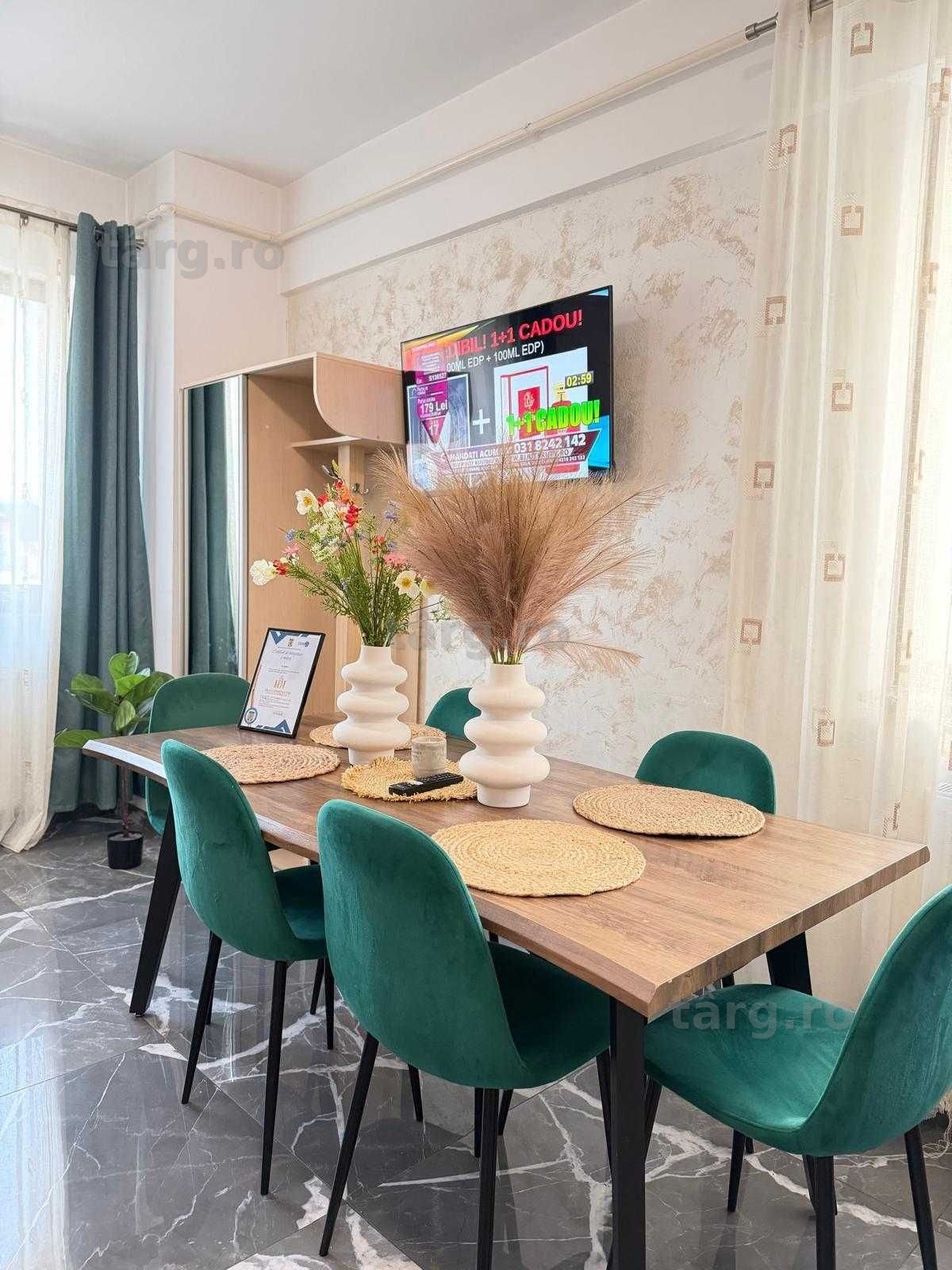 IS Cazare Regim Hotelier Apartamente 1/2/3 Cam Palas/Centru/Newton 4