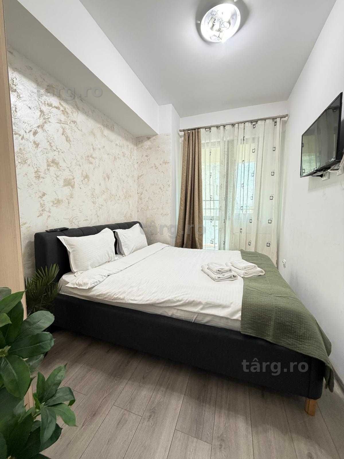 IS Cazare Regim Hotelier Apartamente 1/2/3 Cam Palas/Centru/Newton 3