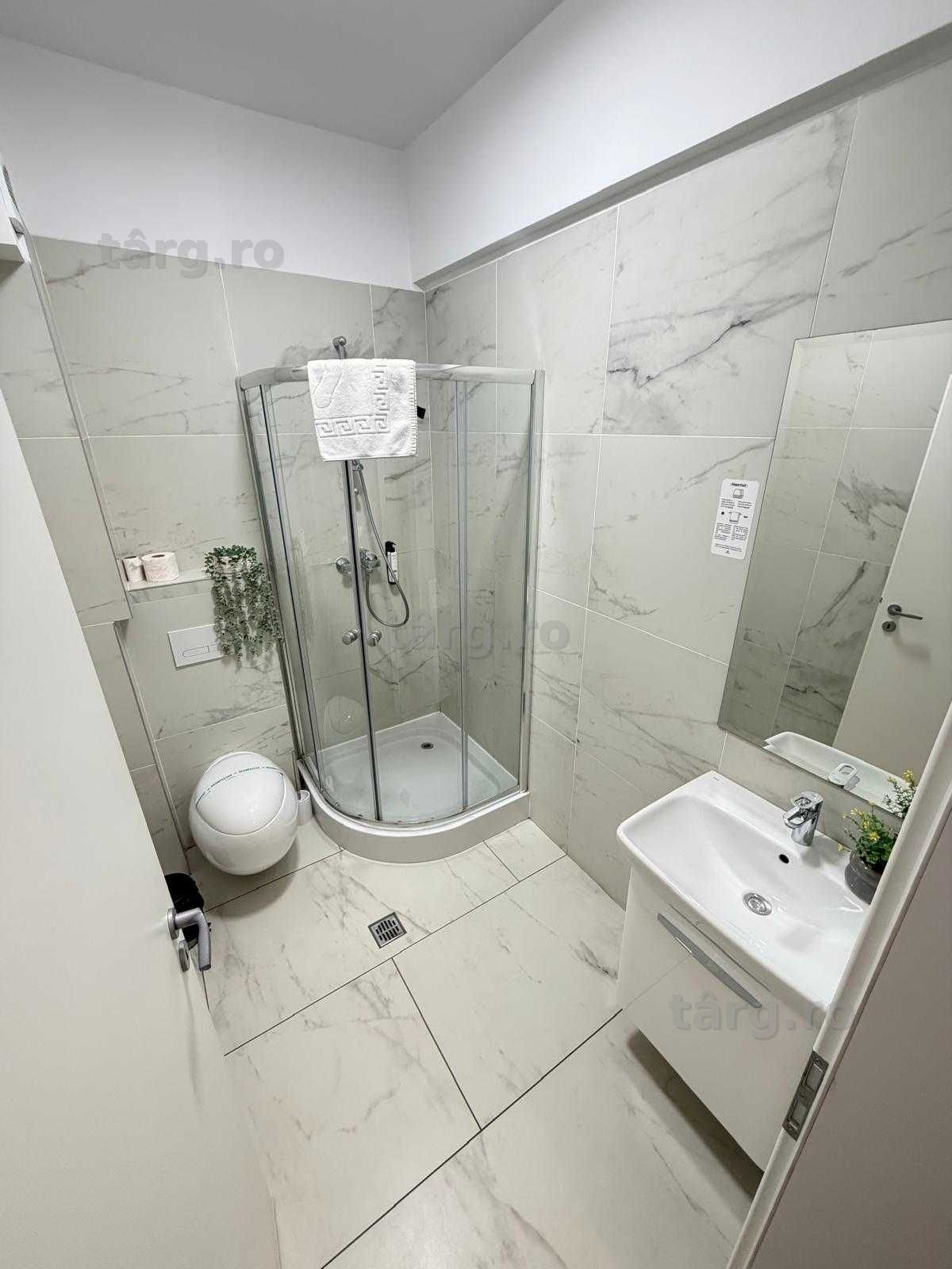 IS LUX !! Cazare Regim Hotelier Iasi Ap 1-2-3 Cam Palas-Newton-Centru 8
