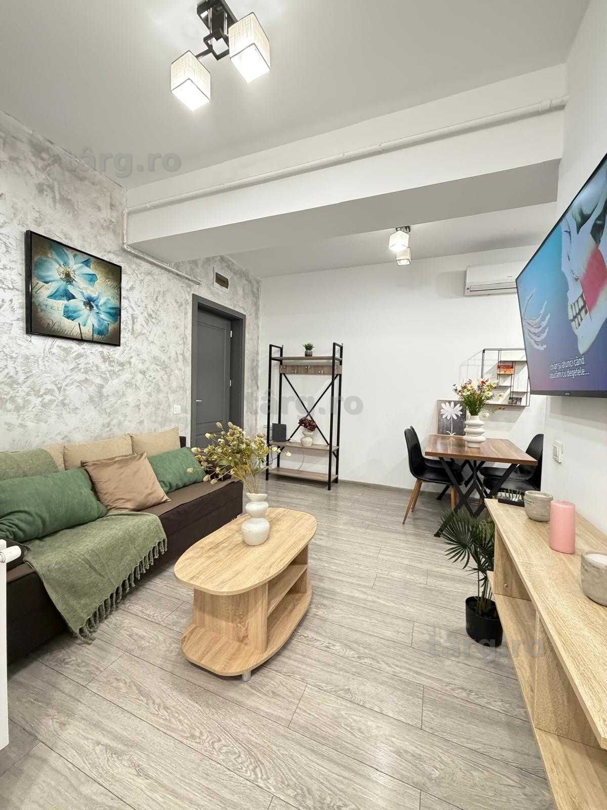 IS Cazare Apartamente 1-2-3 Cam Regim Hotelier Centru-Palas-Newton 6