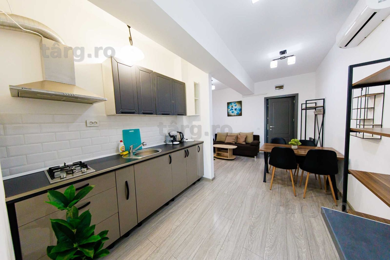 IS Cazare in Apartamente 1-2-3 Cam Regim Hotelier Palas-Newton-Centru 3