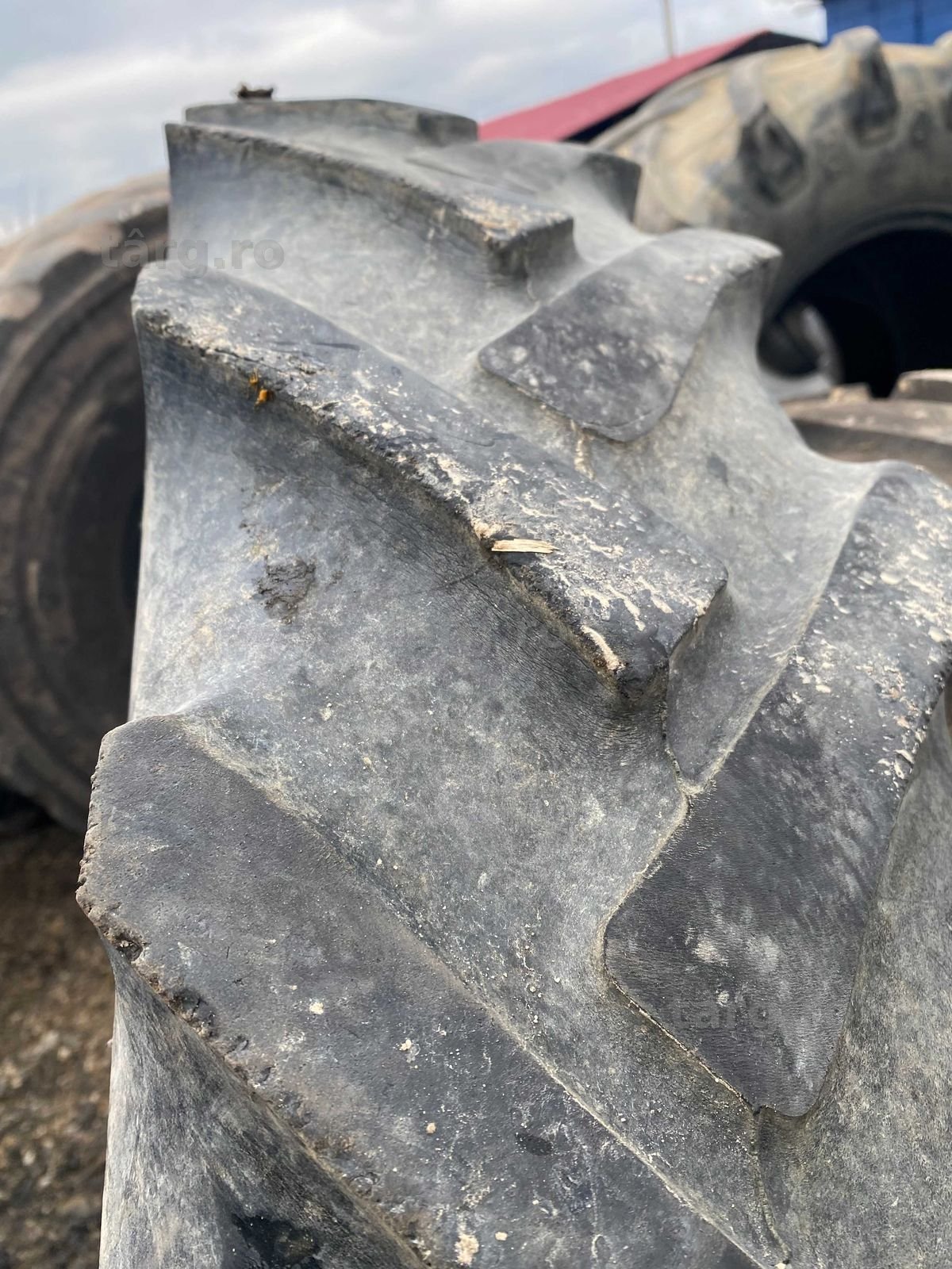9.5 R42 -Continental anvelope sh 4