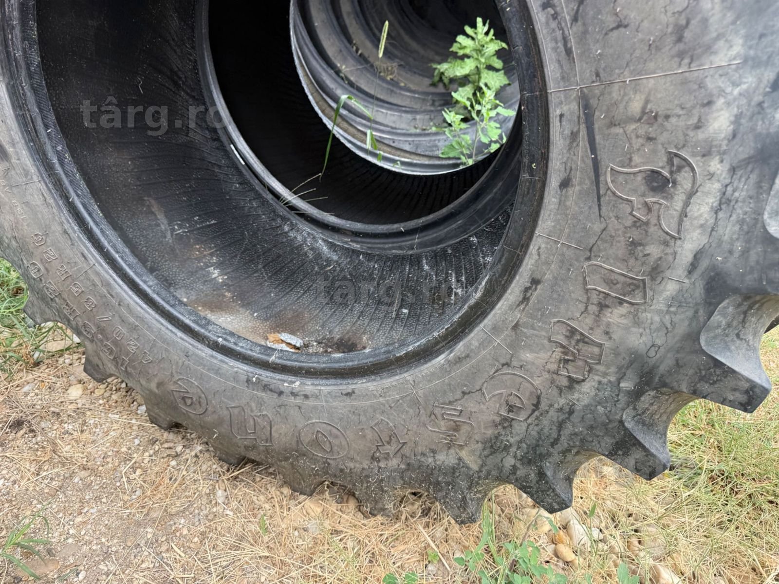 16.9r26 firestone 8