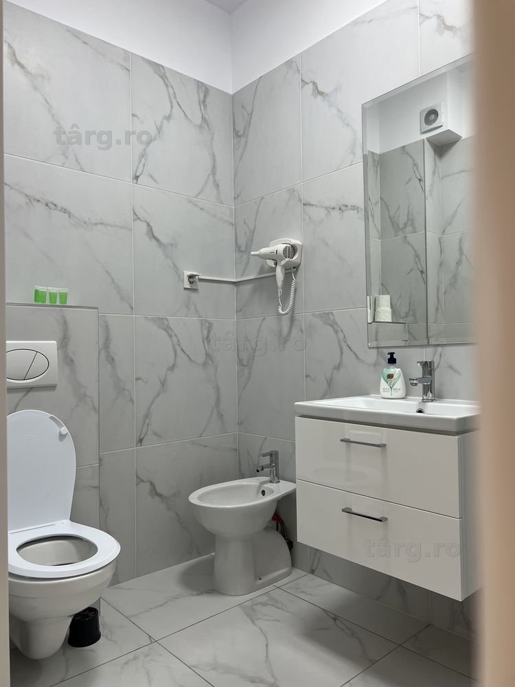 IS Cazare Regim Hotelier Apartamente 1/2/3 Camere Palas Centru Newton 8