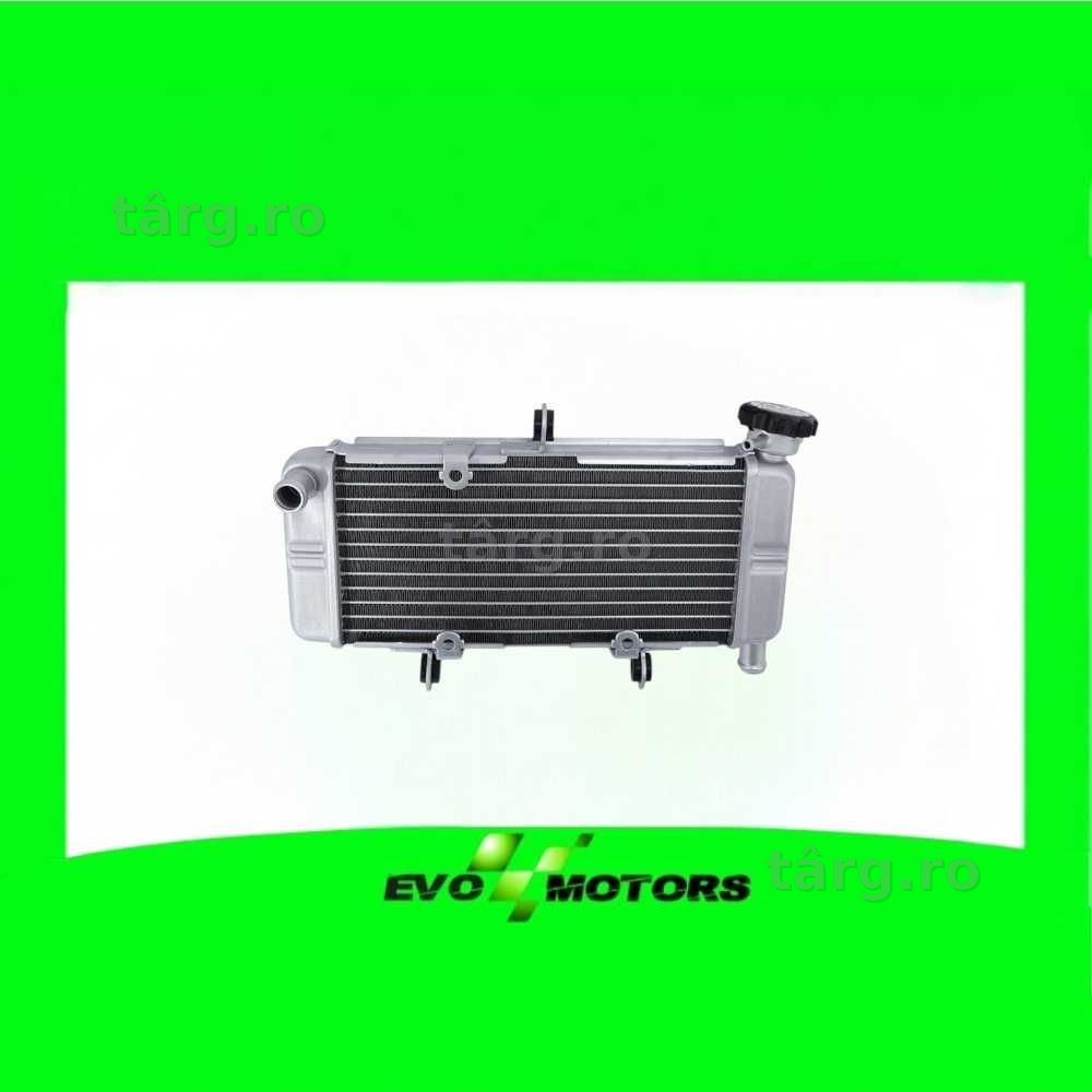 Radiator Honda CBR 250R CBR250R 2011-2022 ABS CB300F CBR300R A1299