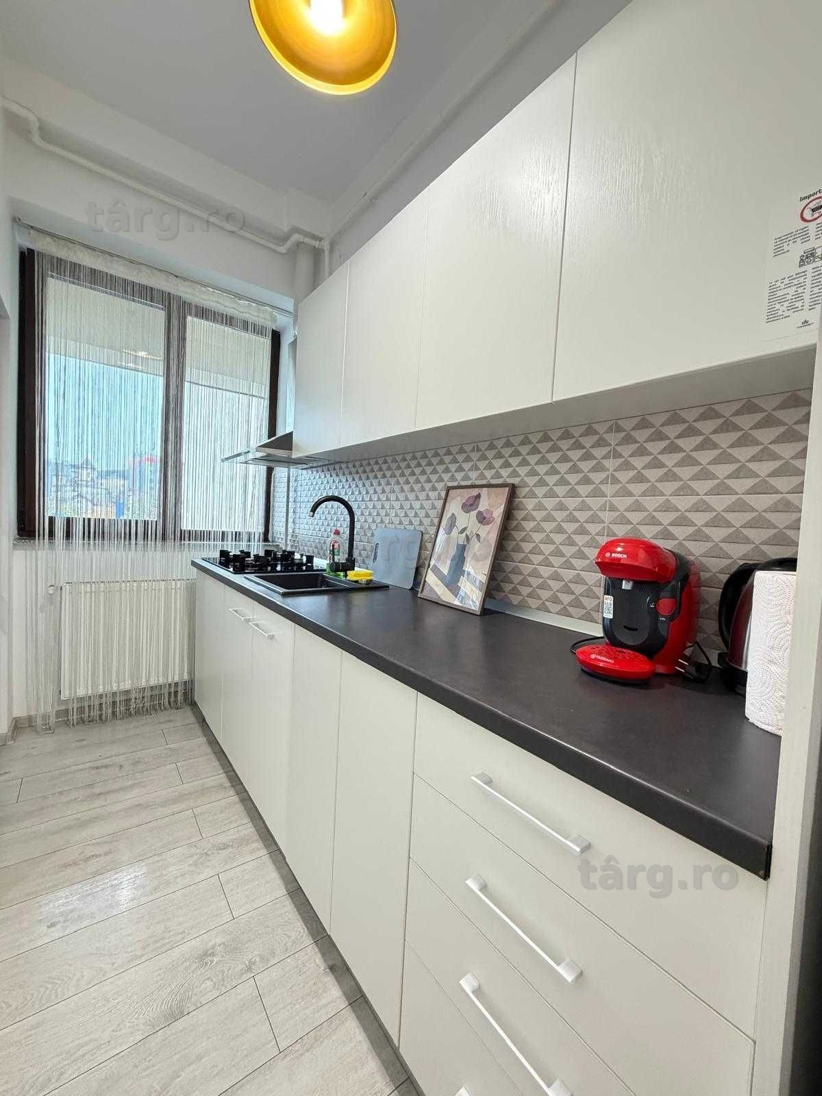 IS LUX Palas - Newton ! Cazare Regim Hotelier Iasi Apart Noi 1-2-3 cam 6