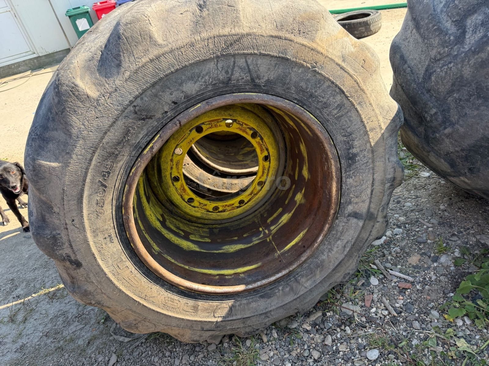 650/45r24,5 Nokian forestier 4